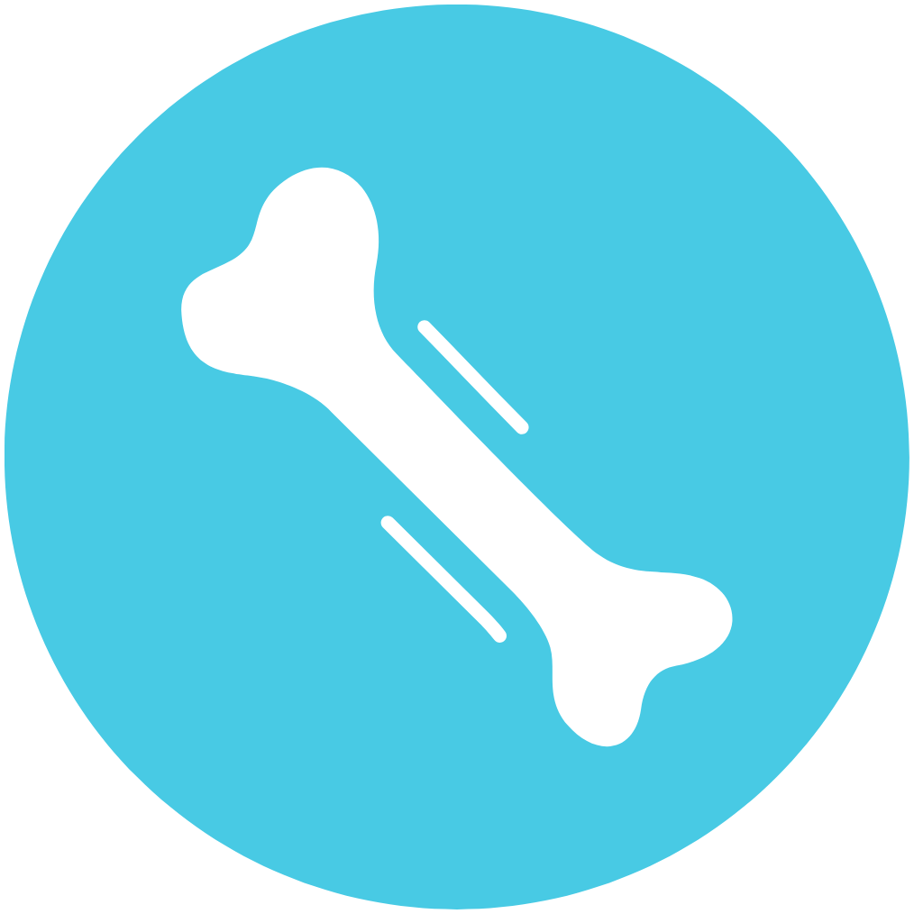 Metabolismo Mineral Óseo